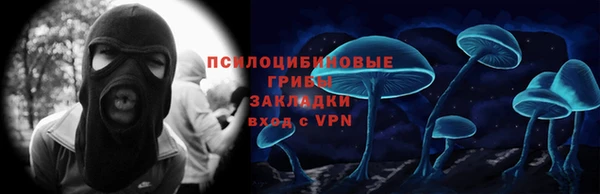 дмт Аркадак