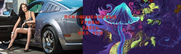 дмт Аркадак