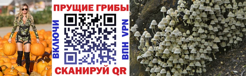 Галлюциногенные грибы прущие грибы Углич